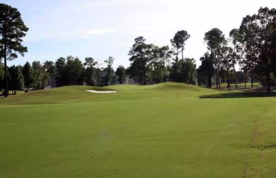 Otter at River Oaks Golf Plantation: #1