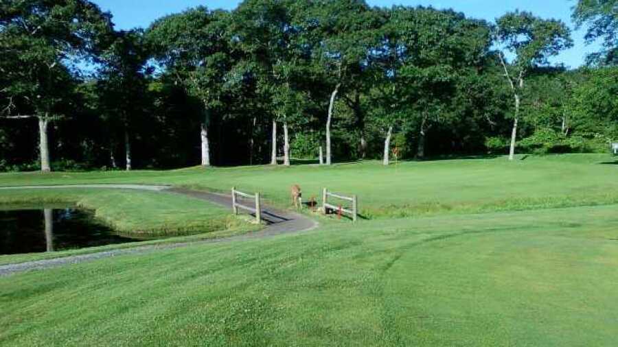 Little Harbor CC: #11