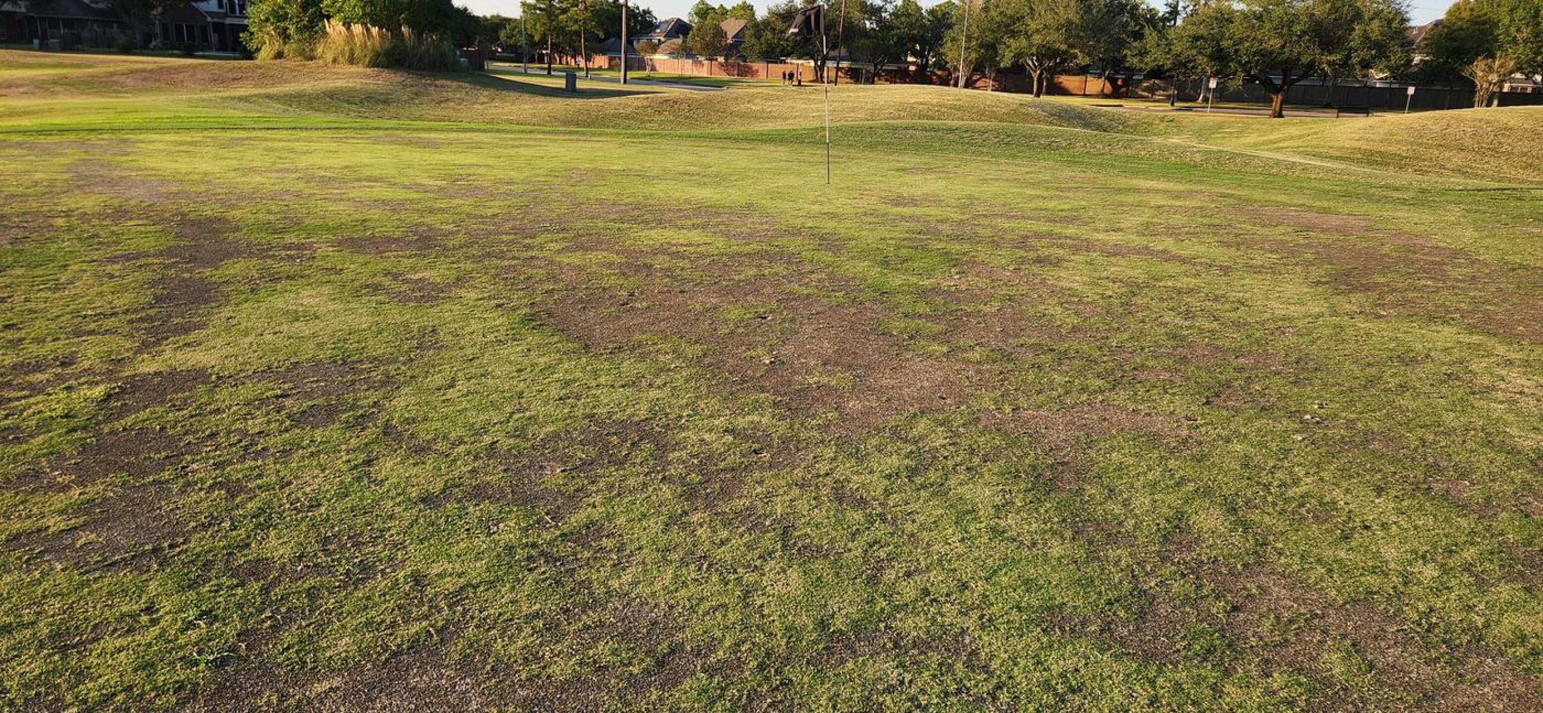 (Photo submitted by u075223535 on 10/08/2024)