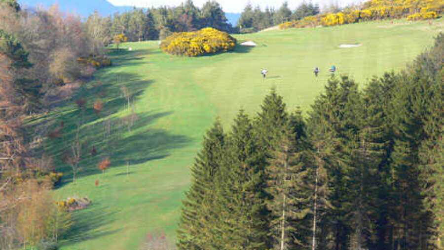 Hawick GC: #4
