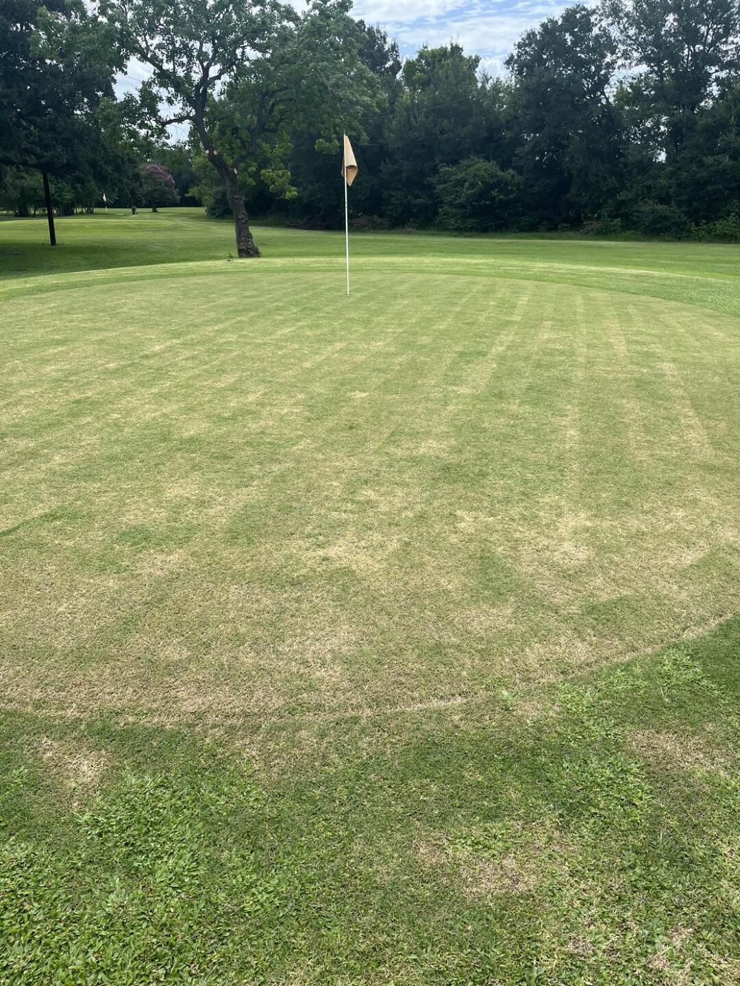 (Photo submitted by gn24823717 on 07/04/2025)