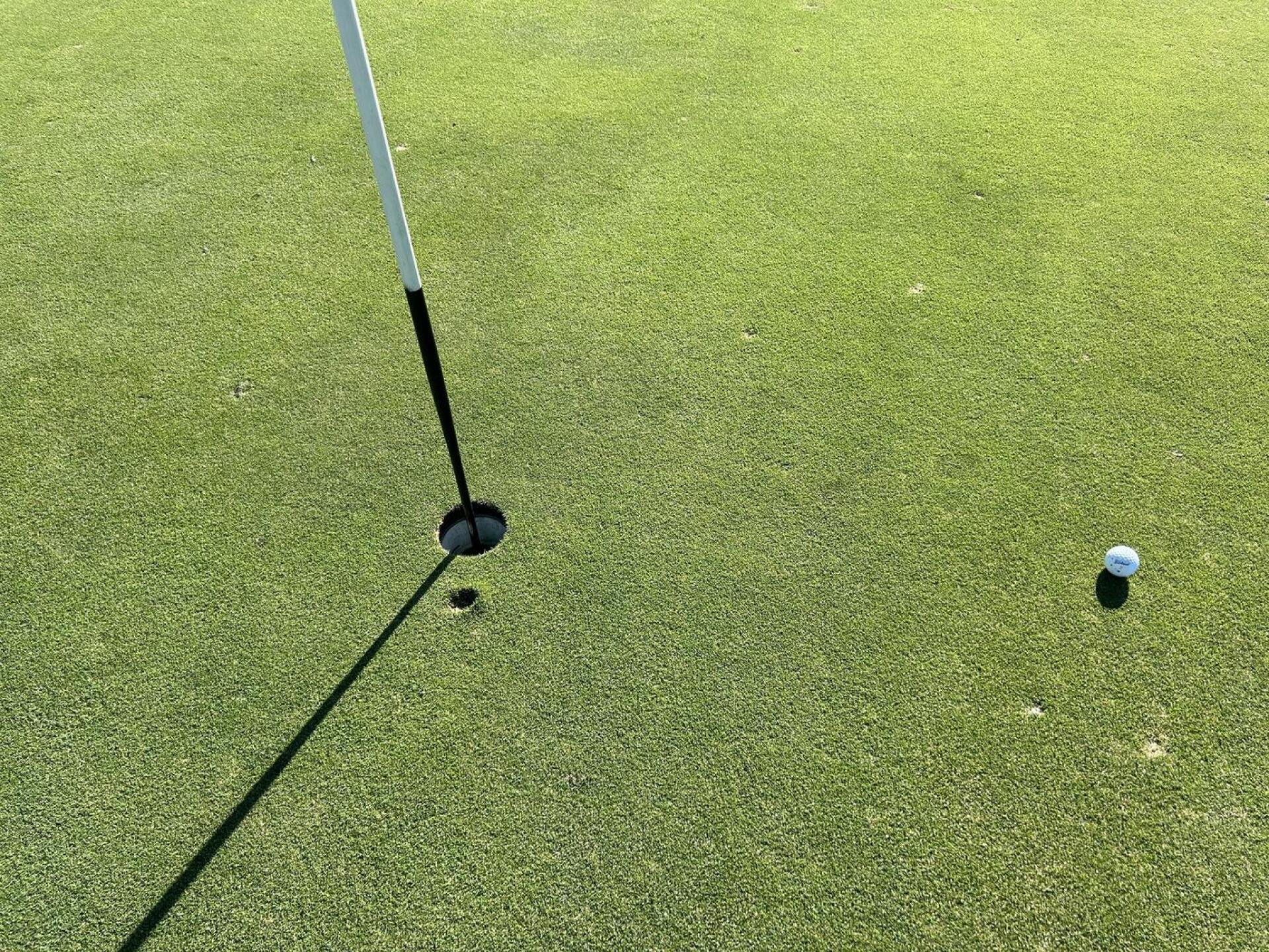 Just missed a hole in one. (Photo submitted by Bdchurch58 on 11/10/2024)