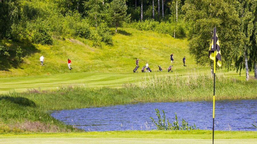 Eda GC: #3