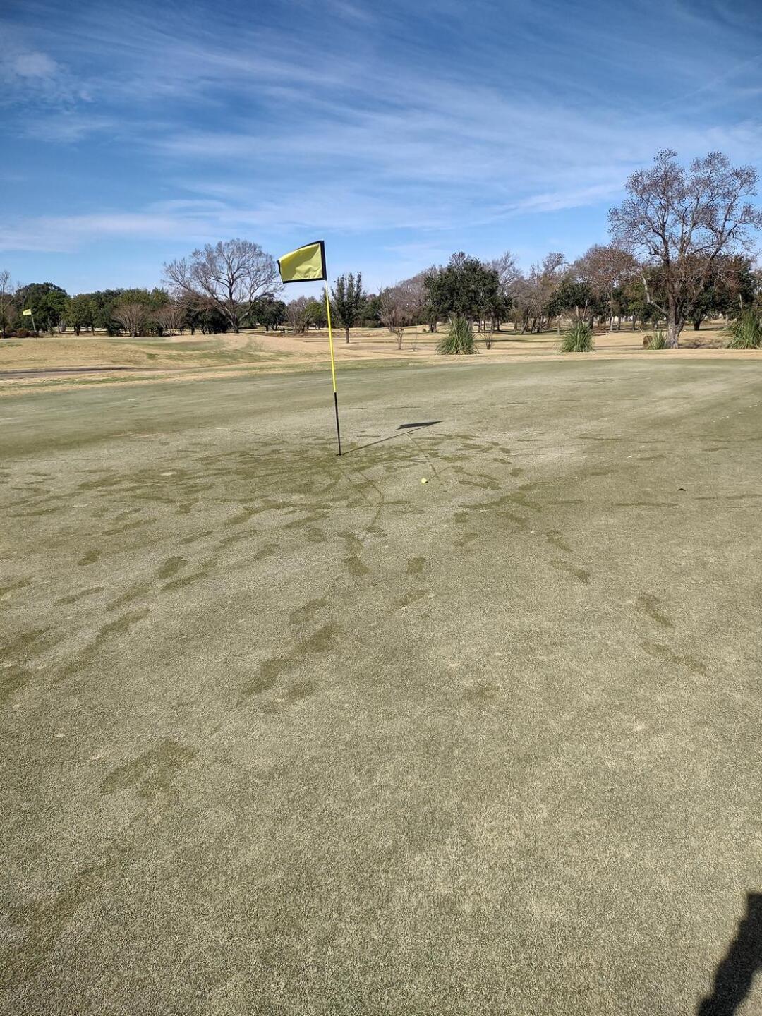 (Photo submitted by emertes on 01/11/2022)