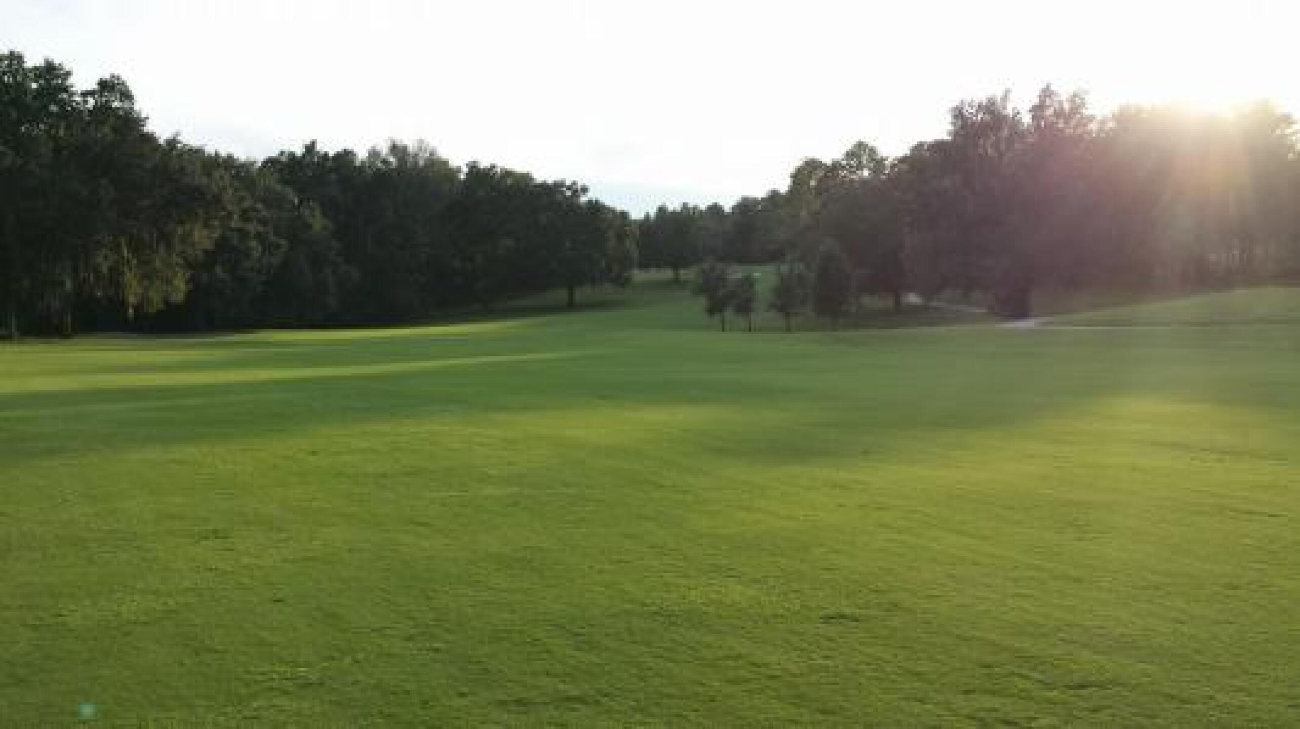 (Photo submitted by 23GreyGhost45 on 10/21/2014)