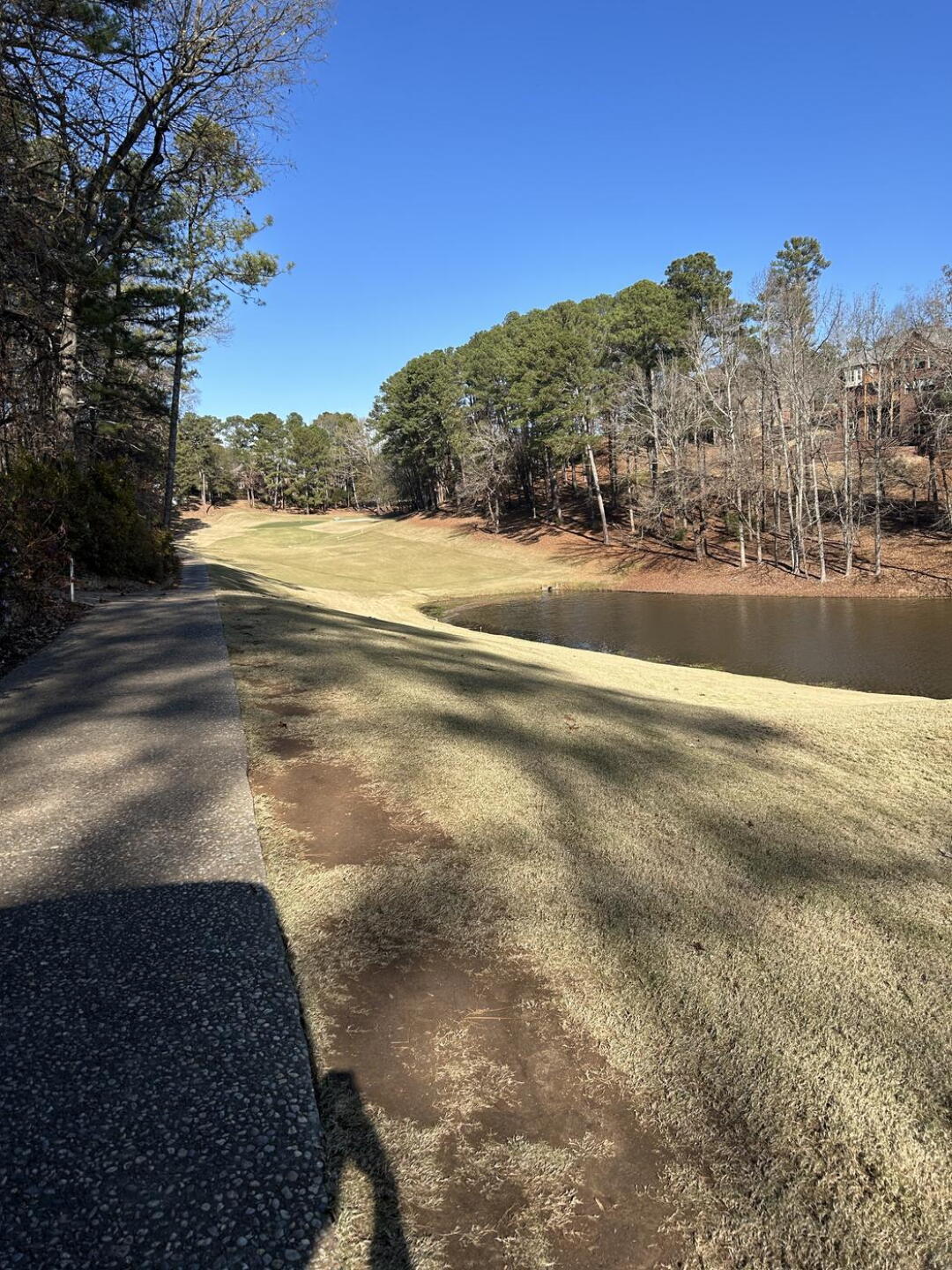 Tee 6 (Photo submitted by dohrenwend on 12/14/2025)