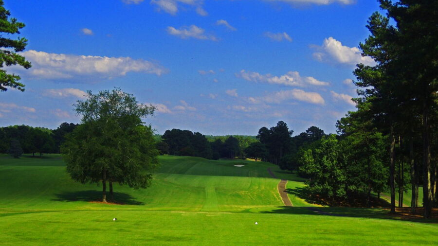 University of Georgia GC: #10