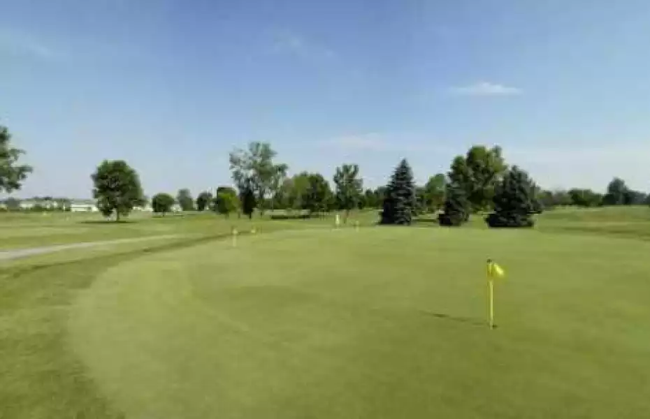 Shamrock GC: Practice area