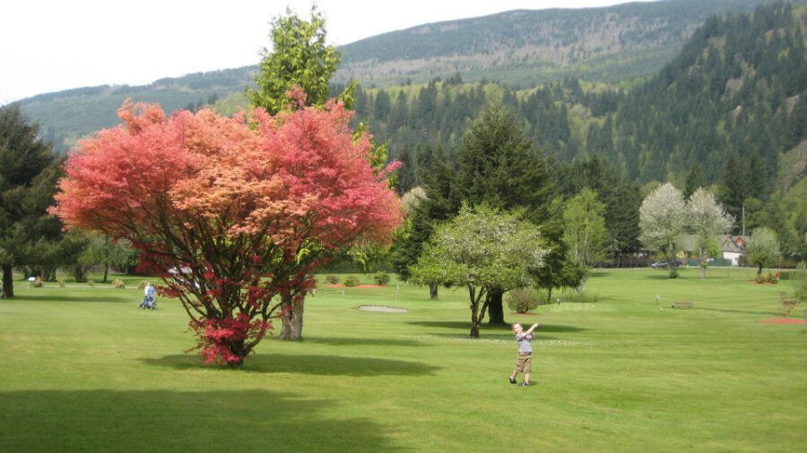Aquadel GC: #3
