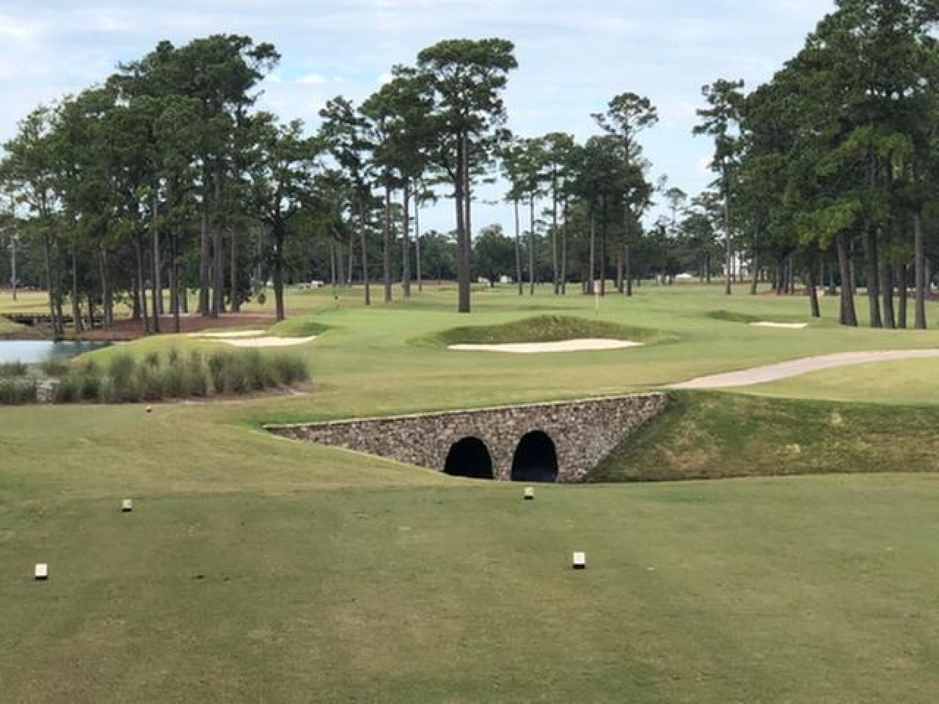 Hole 14 (Photo submitted by adaberne7 on 10/10/2020)