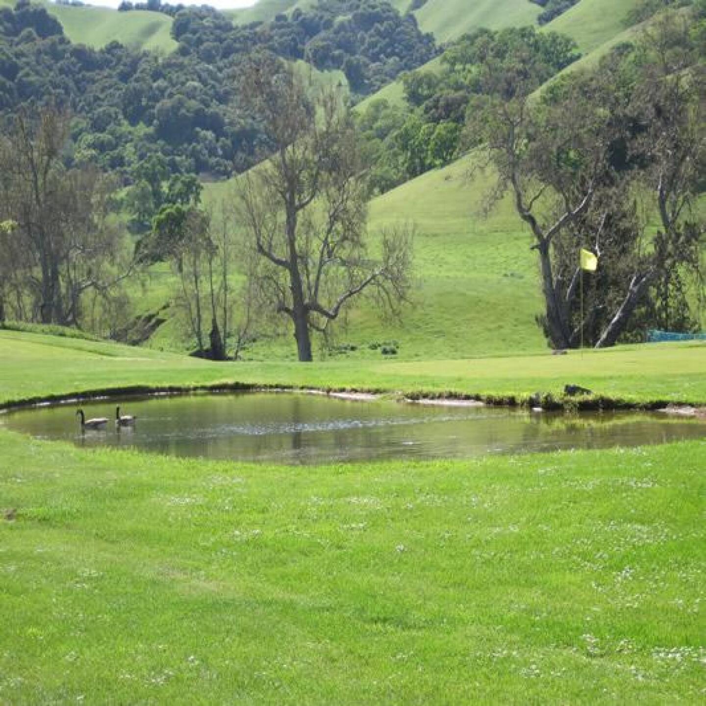 The Pond at Hole 8 (Photo submitted by SarahGarfing on 04/06/2013)