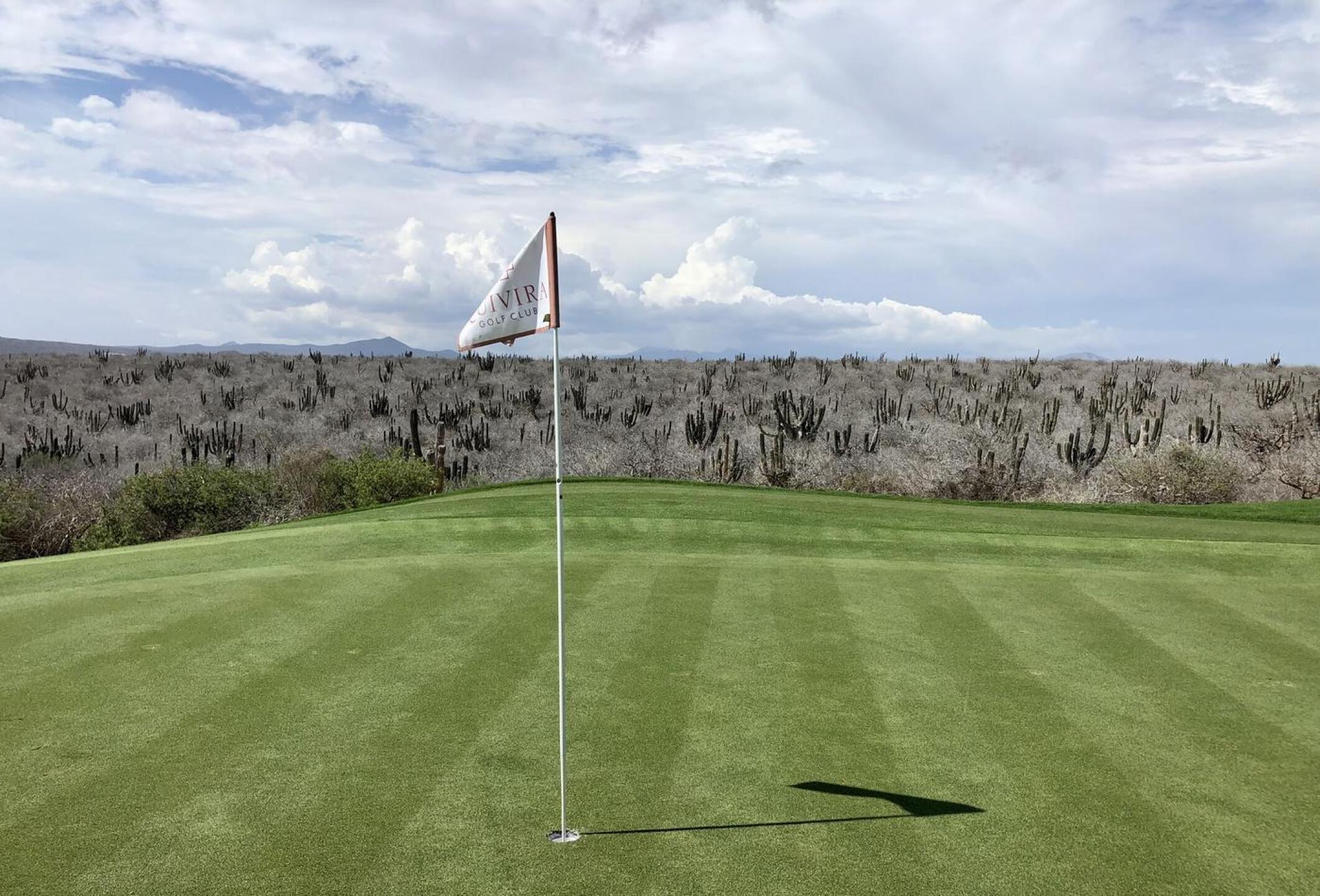 (Photo submitted by BrandonWebb on 08/12/2022)