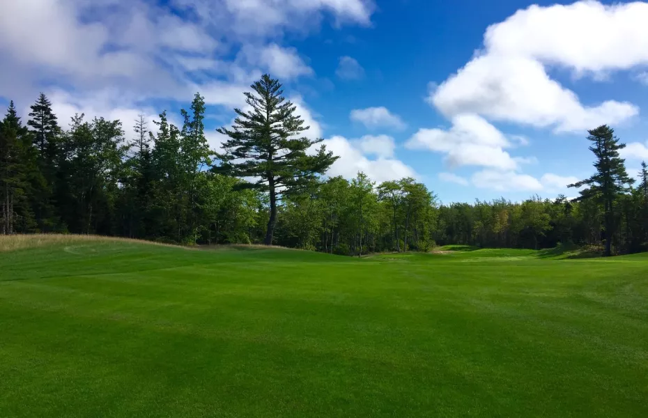 Aspotogan Ridge GC: #7
