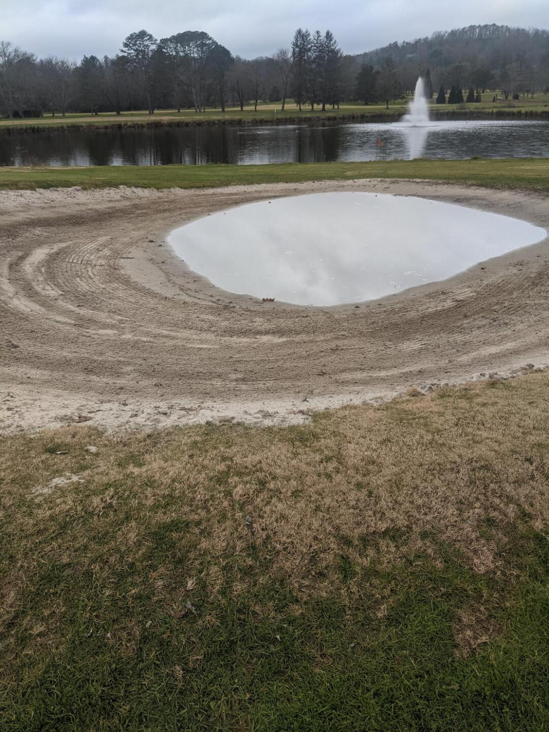 This wasn't even the worst one, but I still lost a ball in this "water hazard" (Photo submitted by ADonofrio on 12/04/2020)