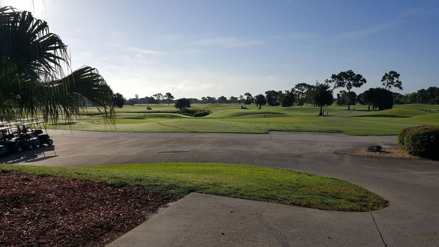 Rotonda GCC - Palms
