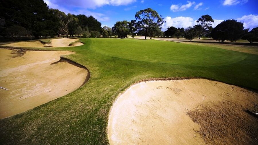 Rosebud CC - South: #11