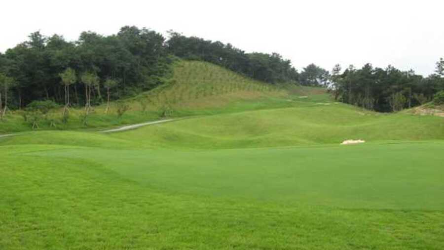 Zensfield CC: #5