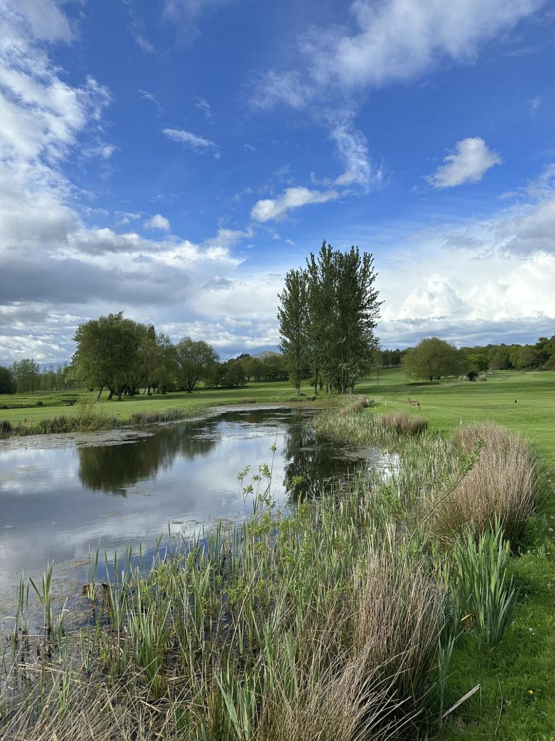 (Photo submitted by u5408905 on 05/11/2023)