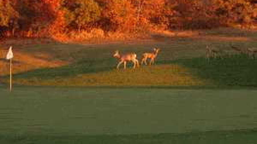 Bountiful Ridge Golf Course