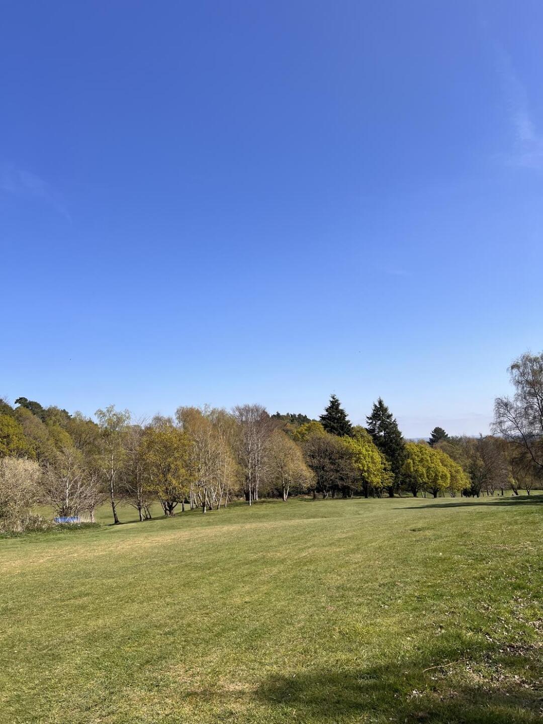 (Photo submitted by McChen on 04/10/2025)