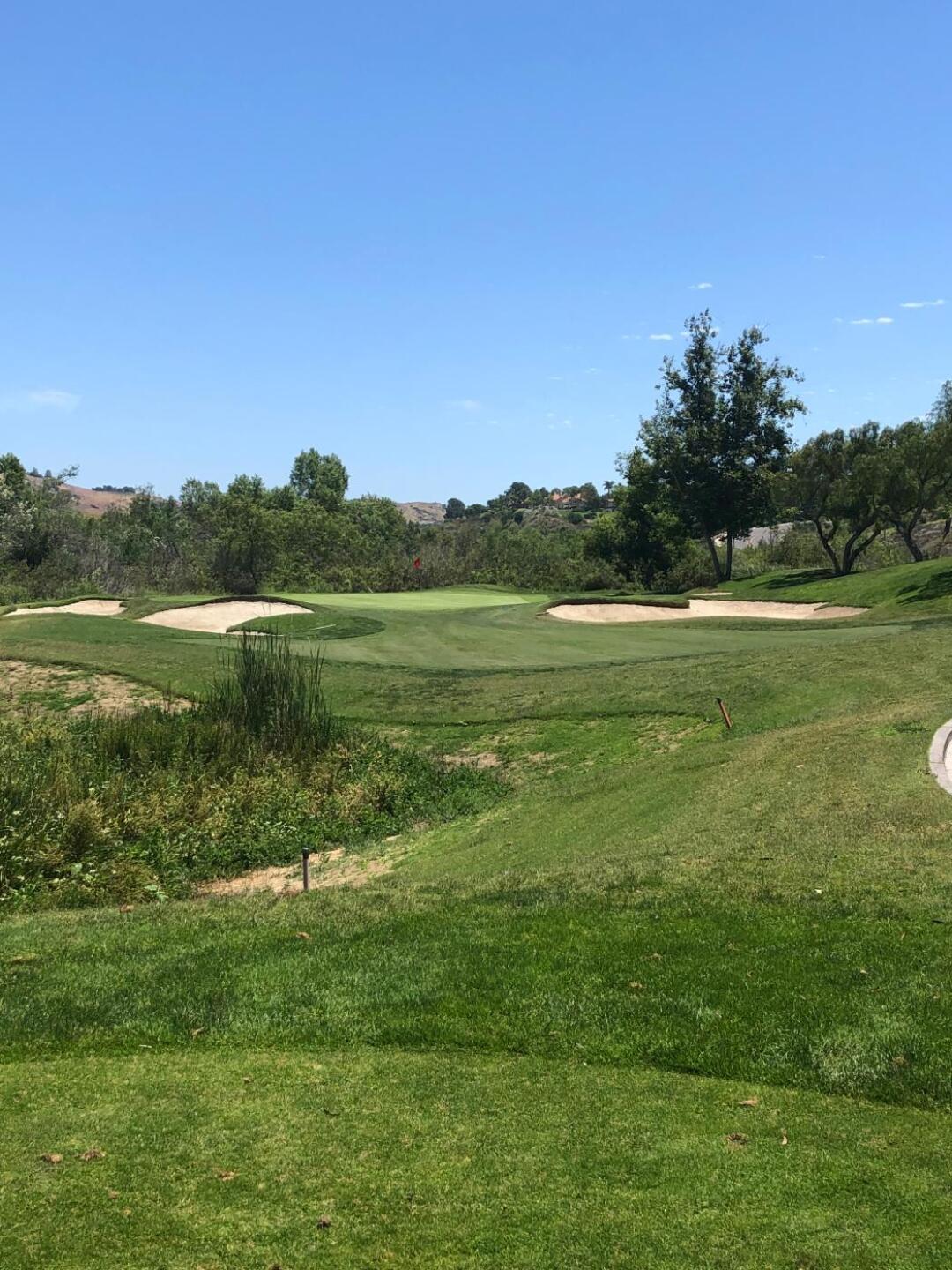 (Photo submitted by Zoeboe4u on 09/10/2019)