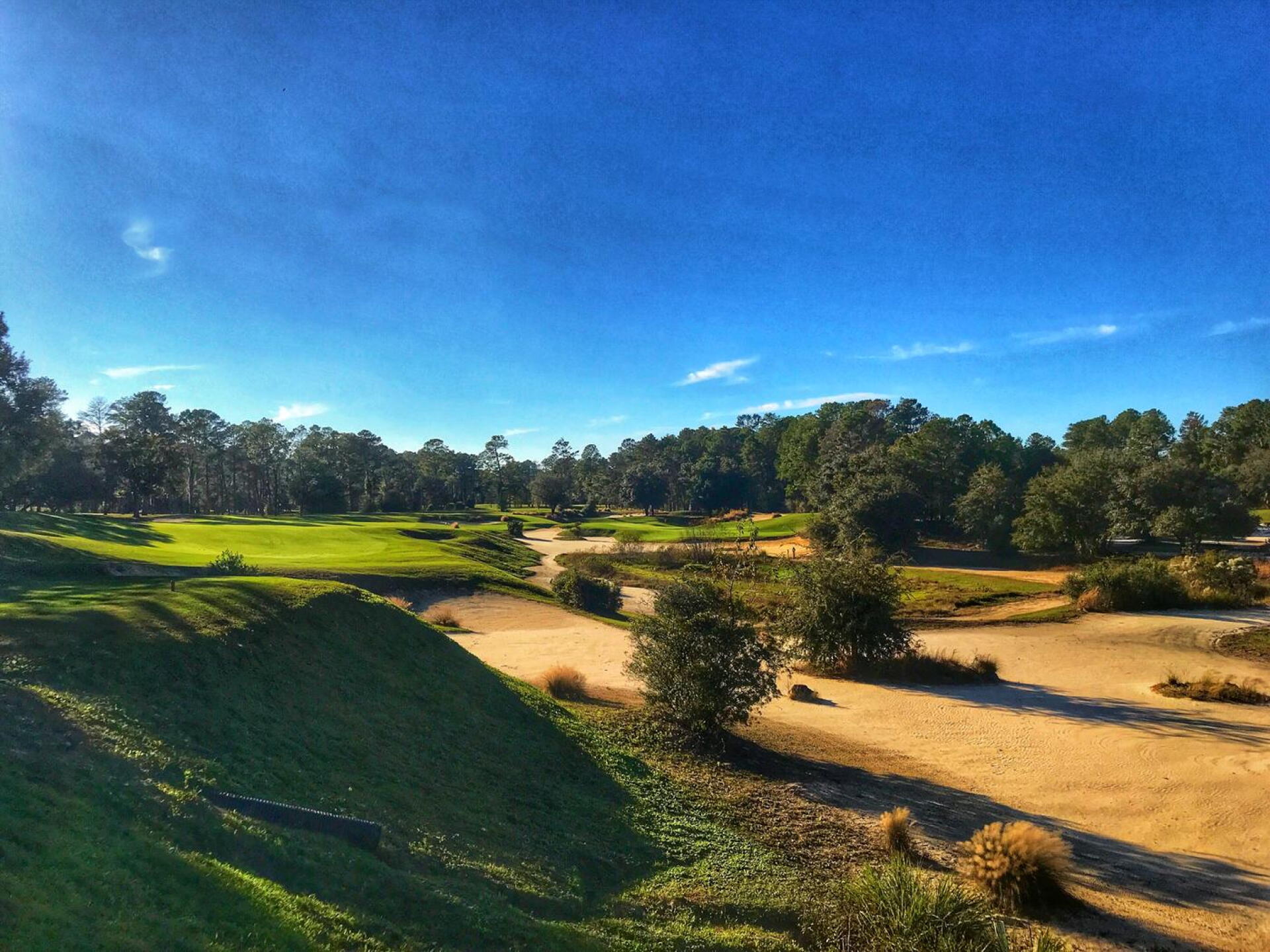 World Woods (Pine Barrens) - hole 15 (Photo submitted by TimGavrichGP on 02/18/2019)