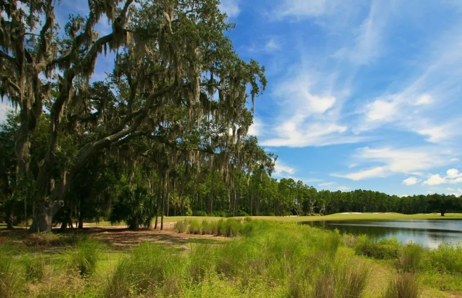 Hammock Dunes - Rees Jones Creek: #11
