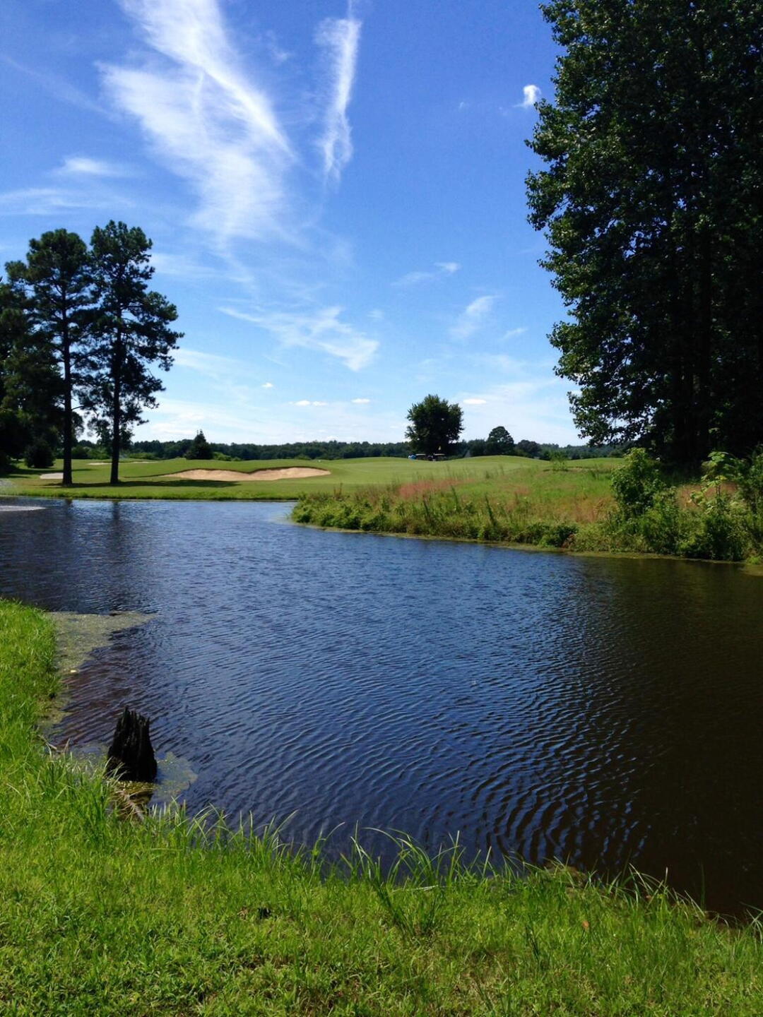 (Photo submitted by Liztoddgolf123 on 08/23/2015)