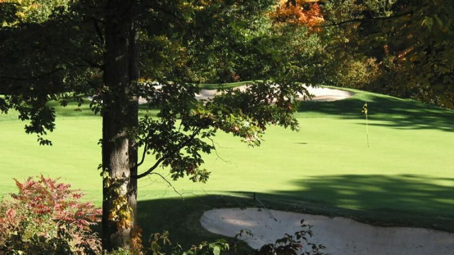 York GC: #11