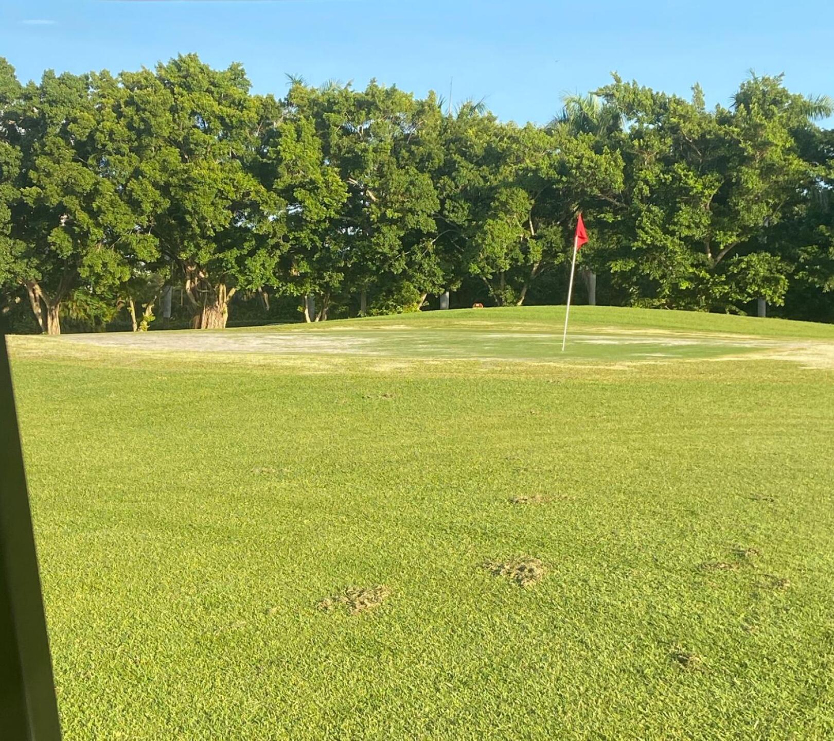 This is the green on hole number 1 (Photo submitted by babaloo9834 on 09/20/2020)