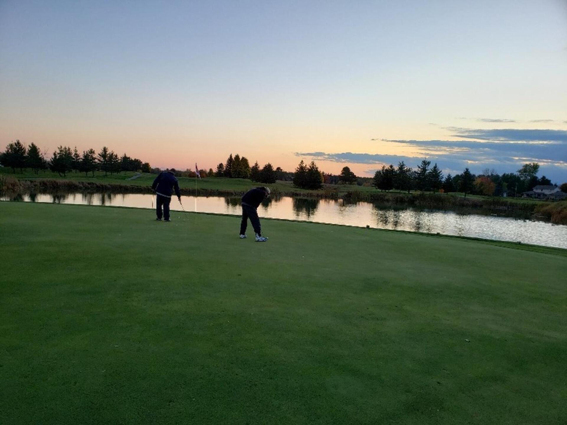 (Photo submitted by tomofbra on 10/16/2020)