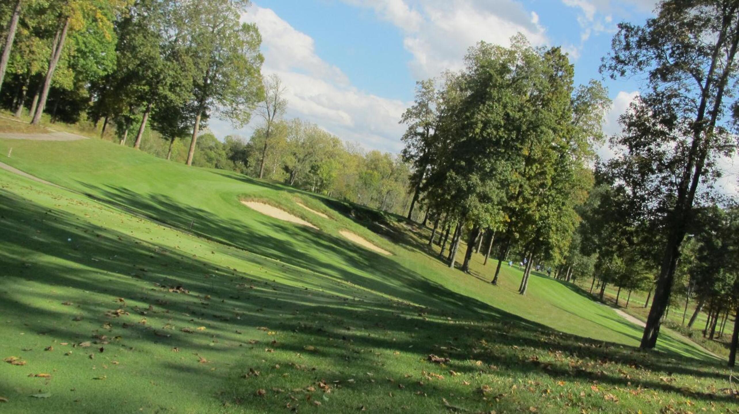 (Photo submitted by gyoju on 10/08/2017)