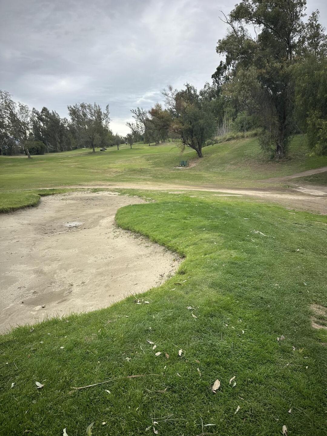 (Photo submitted by JohnMartii on 01/01/2026)