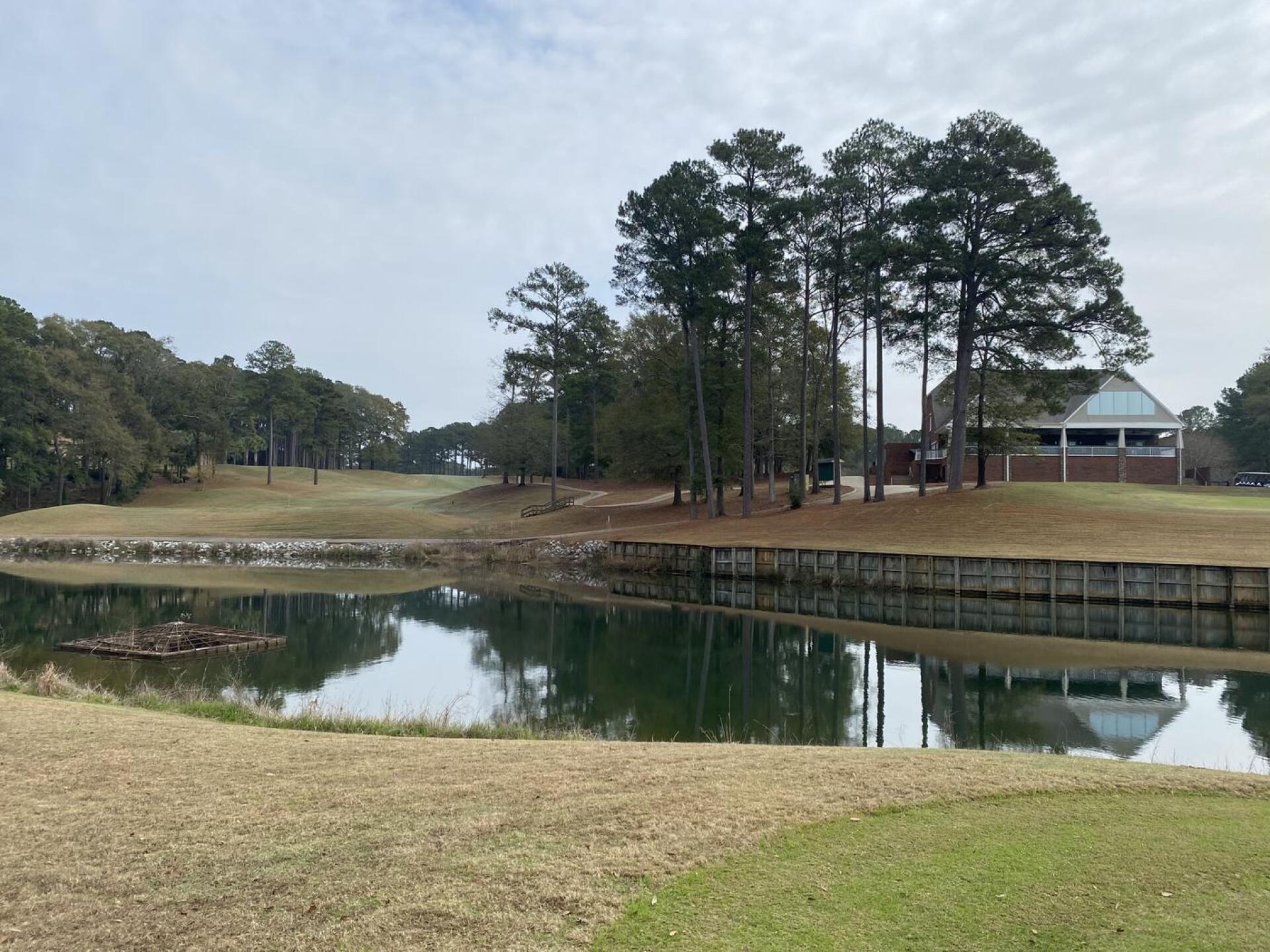 (Photo submitted by YQfZ4klsSSoPxmrMnTmY on 01/18/2023)