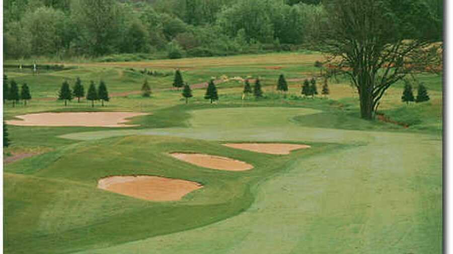 Diamond Woods #4