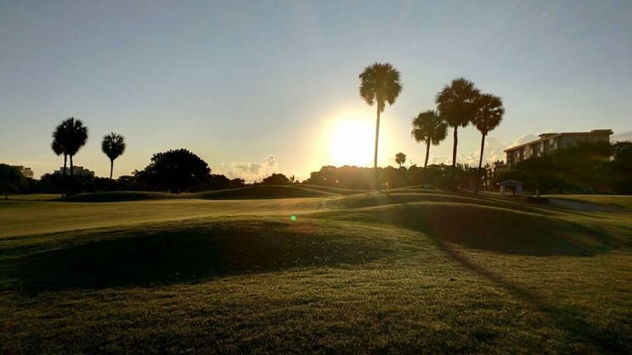 Palms at Palm-Aire CC
