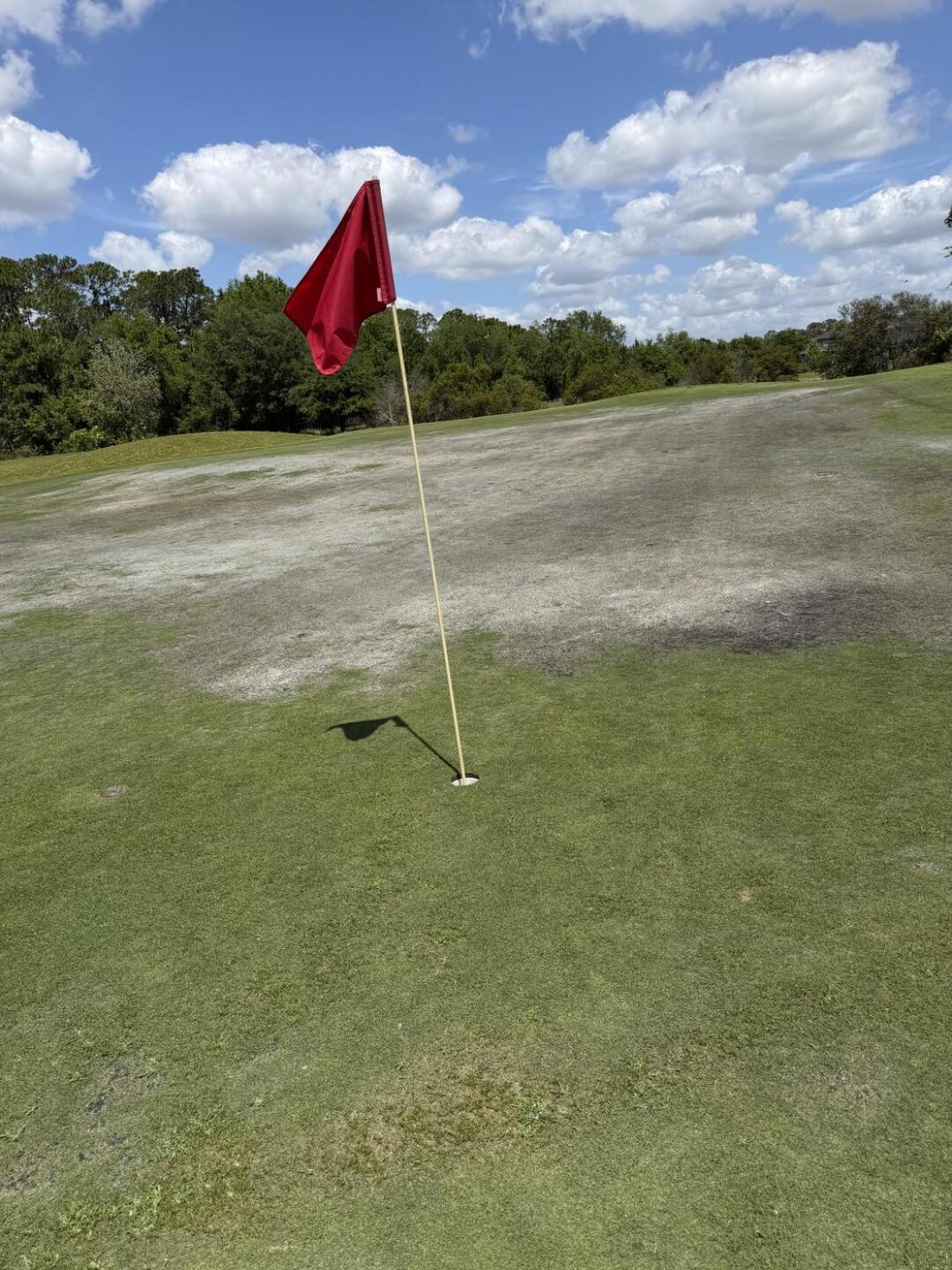 Greens (Photo submitted by bucsforlife on 04/16/2026)