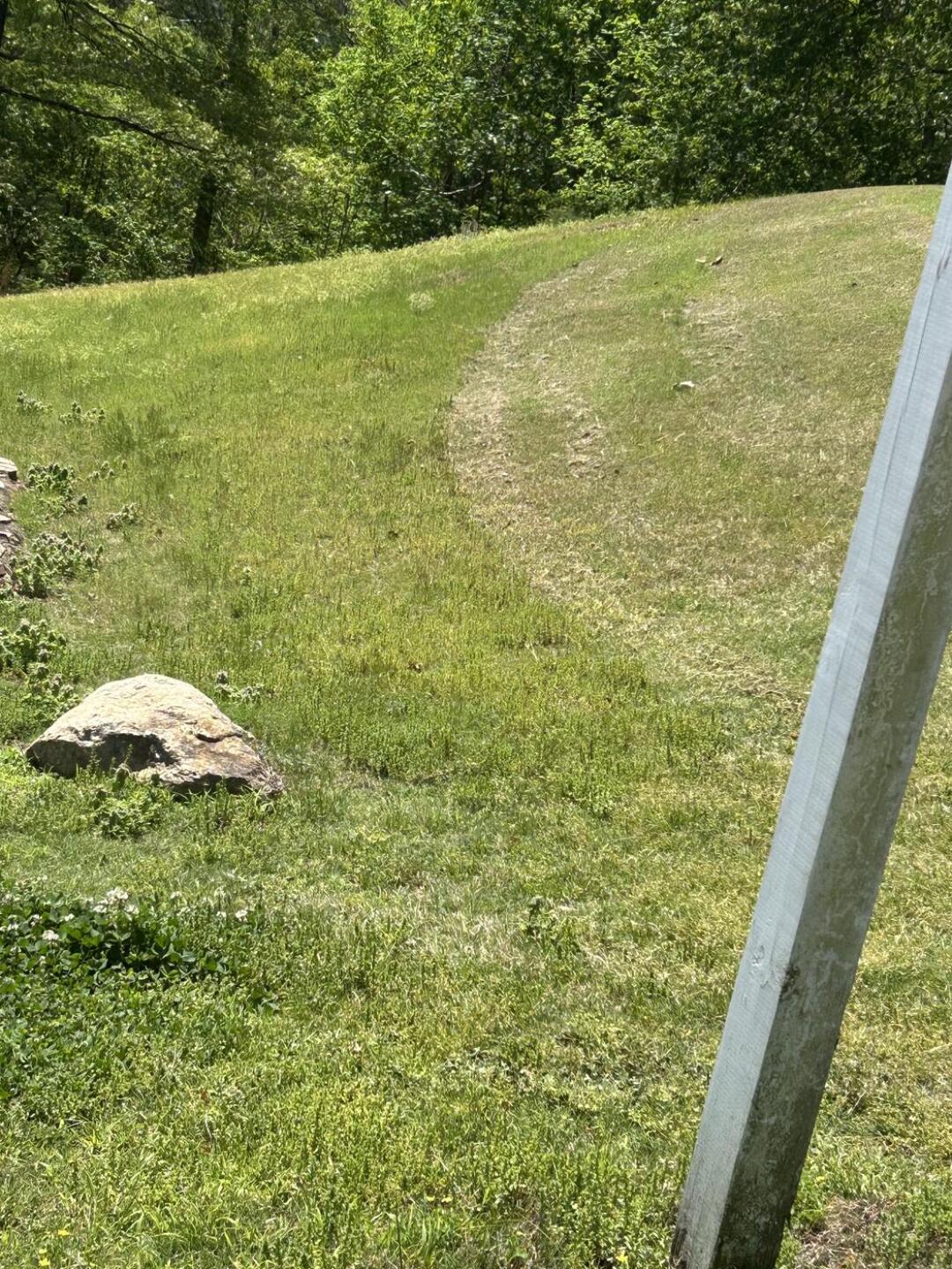 (Photo submitted by u1305602 on 05/14/2025)