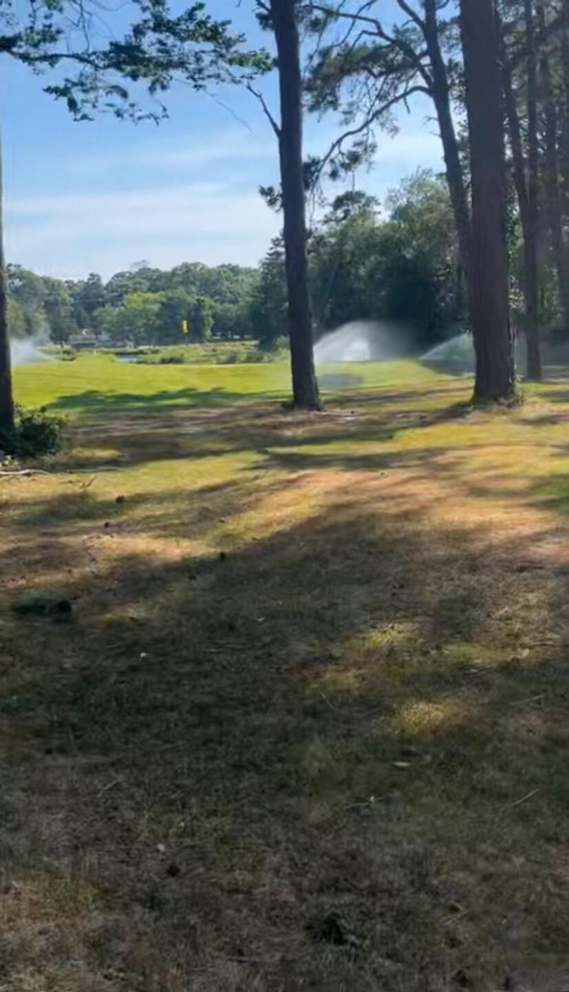 (Photo submitted by cianhoward on 06/25/2024)