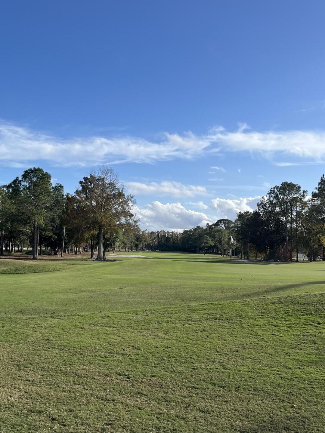 (Photo submitted by O4U6f9WW1VkypcdcFDDD on 12/23/2024)