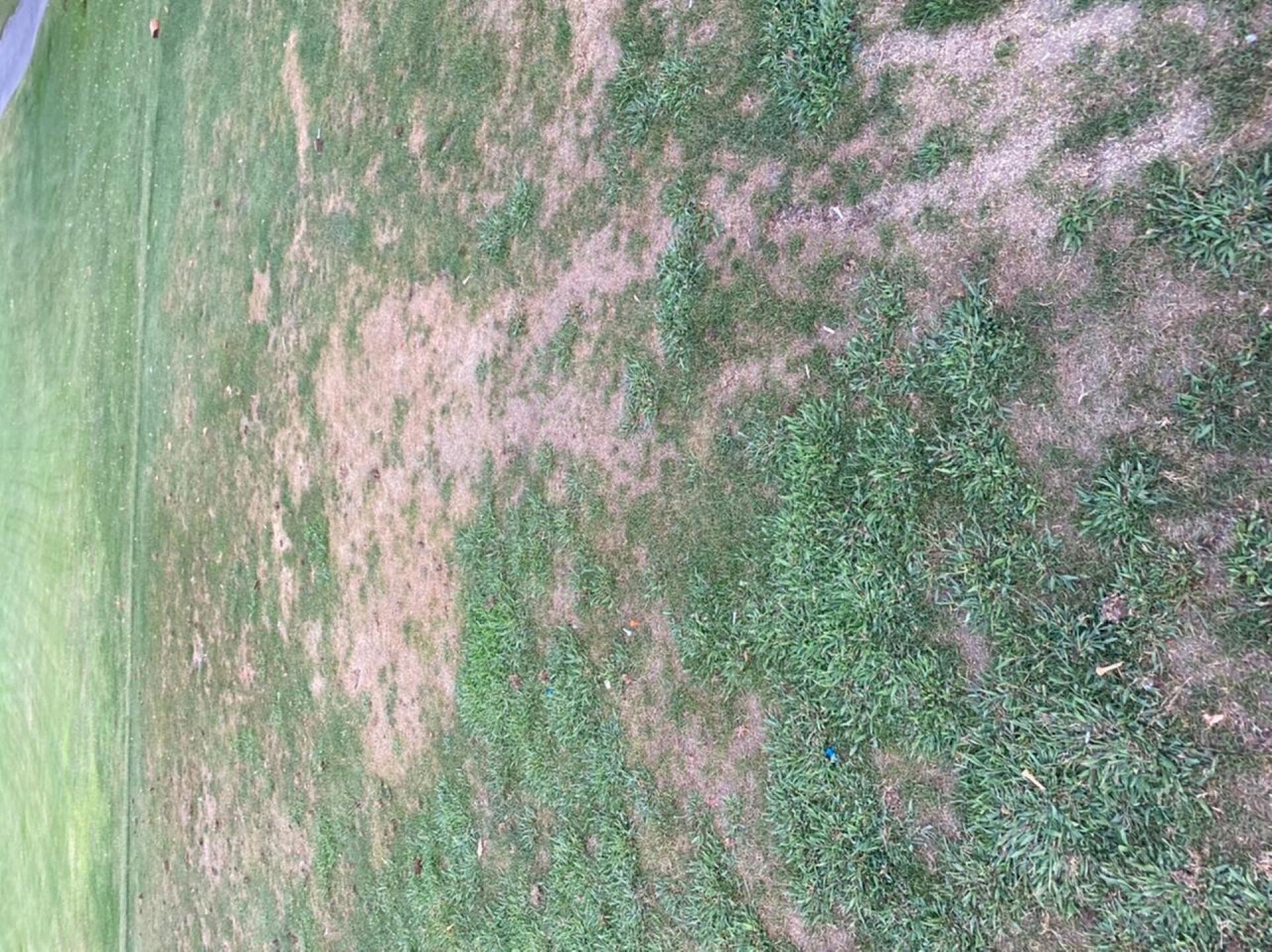 (Photo submitted by u000006729674 on 08/24/2020)