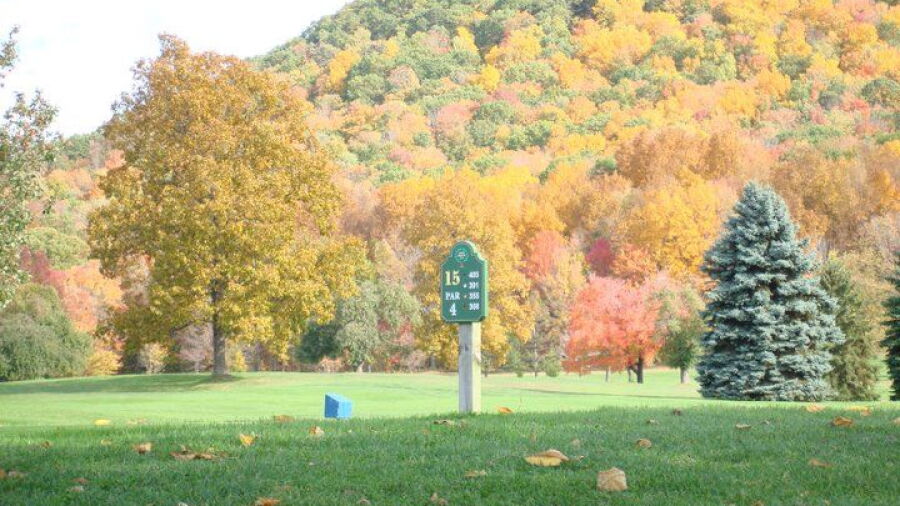 Cable Hollow GC: #15
