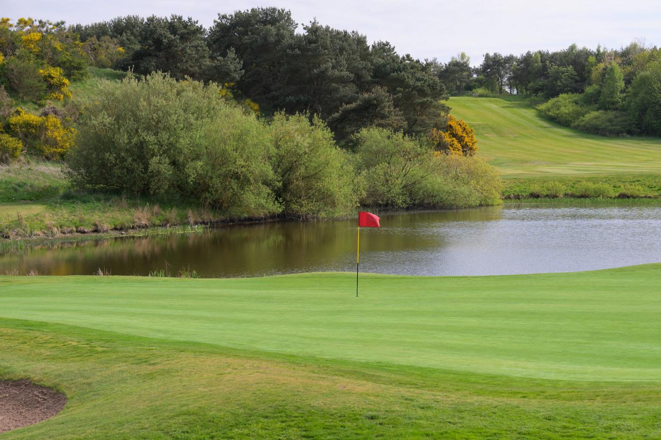 (Photo submitted by Eck8707 on 09/02/2025)