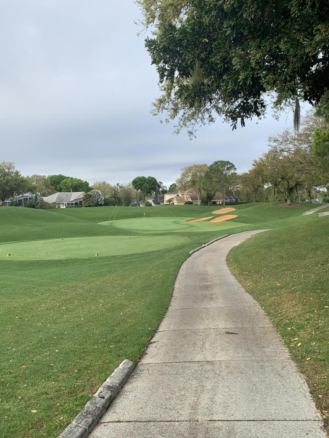 (Photo submitted by X9P5fqw0JfE4gzocYWqw on 03/07/2021)