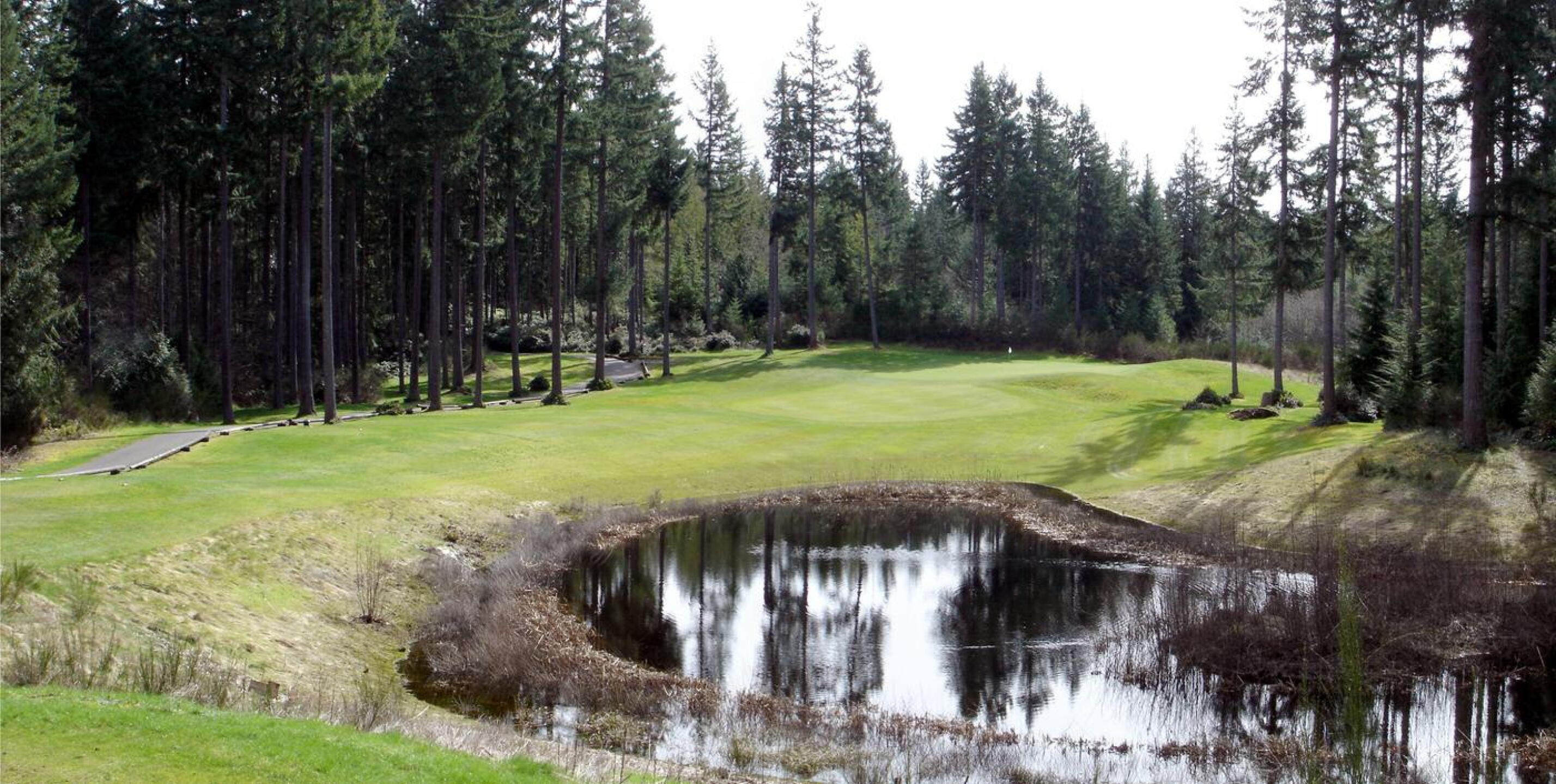 McCormick Woods GC, Hole 11, Par 3, 217 yds (Photo submitted by DYakimec on 06/08/2017)