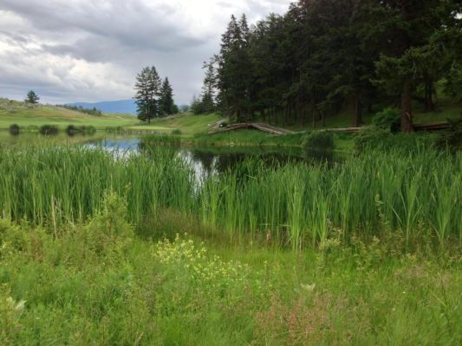 (Photo submitted by lindadallen on 06/21/2013)