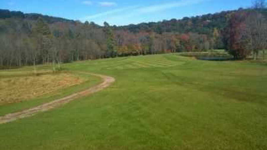 Deer Run GC: #4