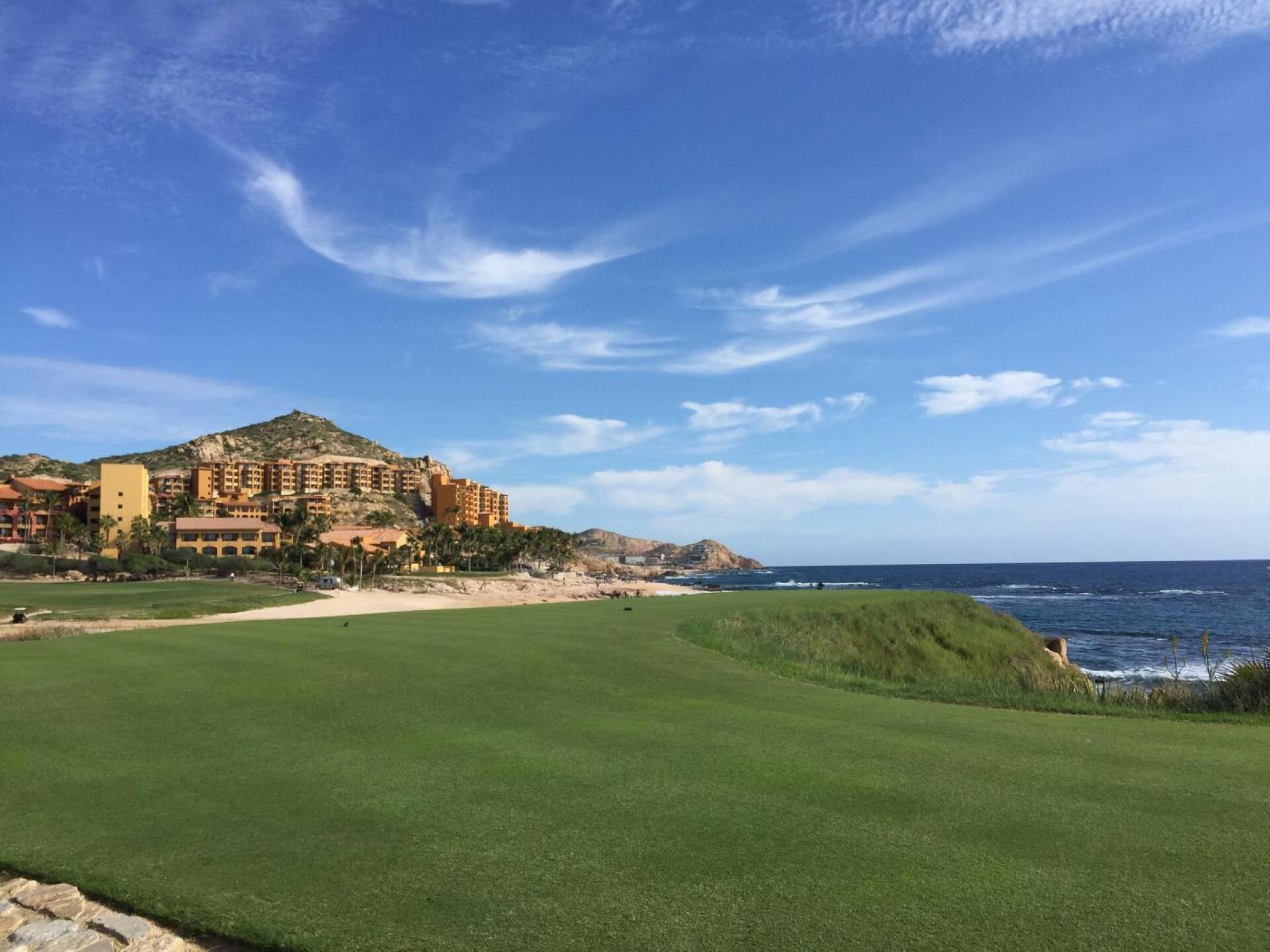 Breathless (Photo submitted by mpigasso on 12/18/2019)