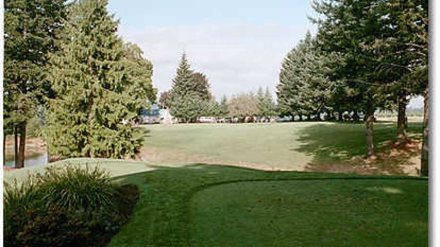 Springwater #9