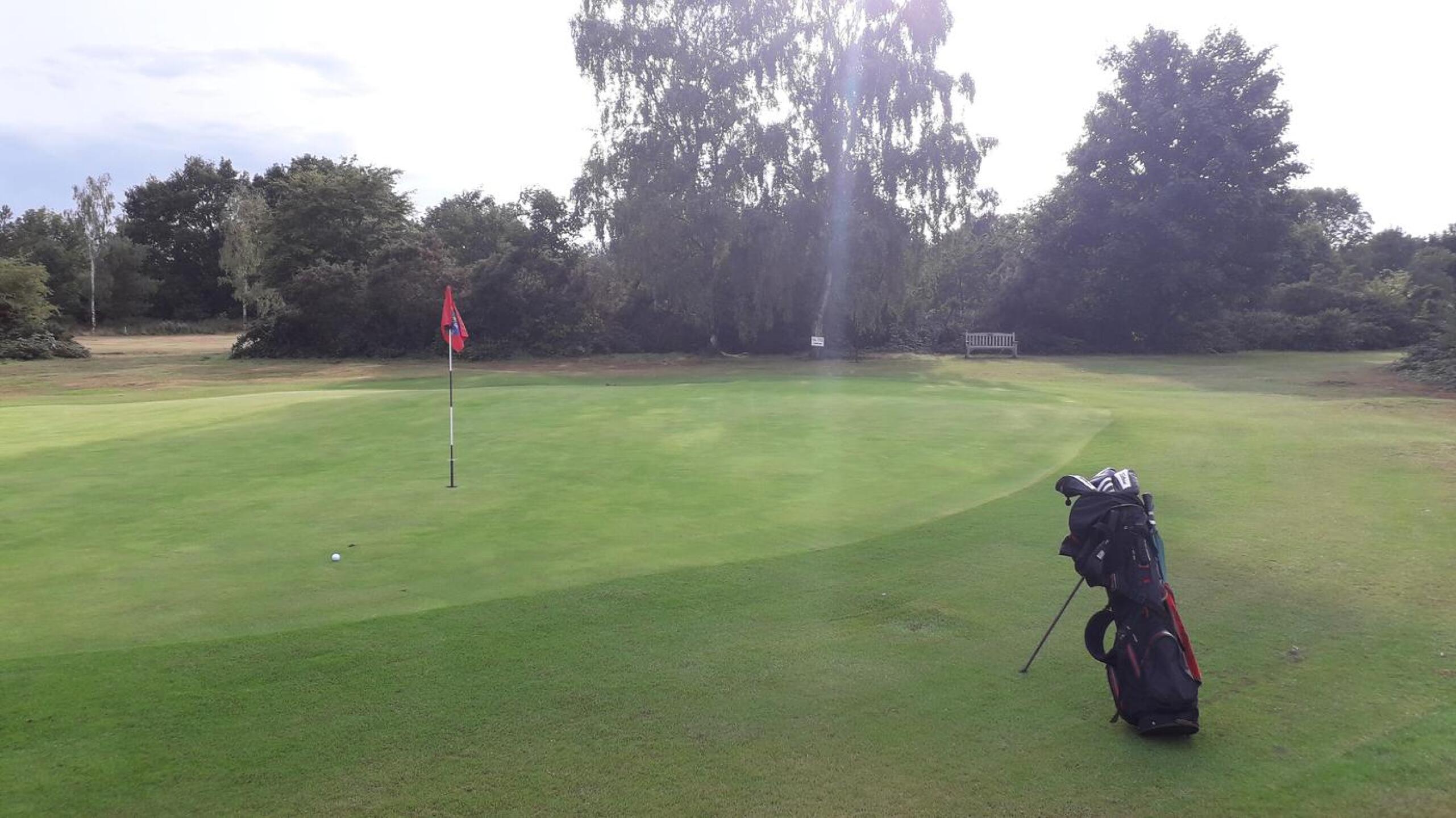 (Photo submitted by t650249790 on 08/19/2020)